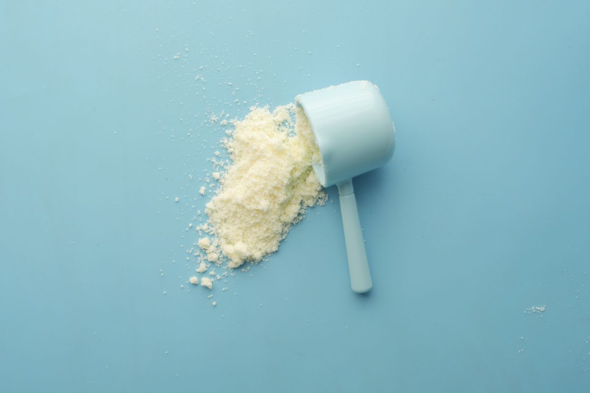 Protein Tozu Gerçekten Gerekli mi?