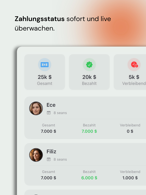 Avlu - Financials